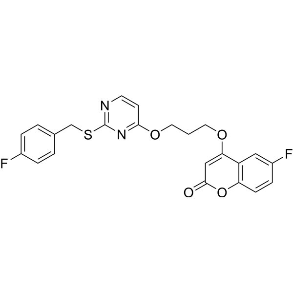 SARS-CoV-2-IN-53